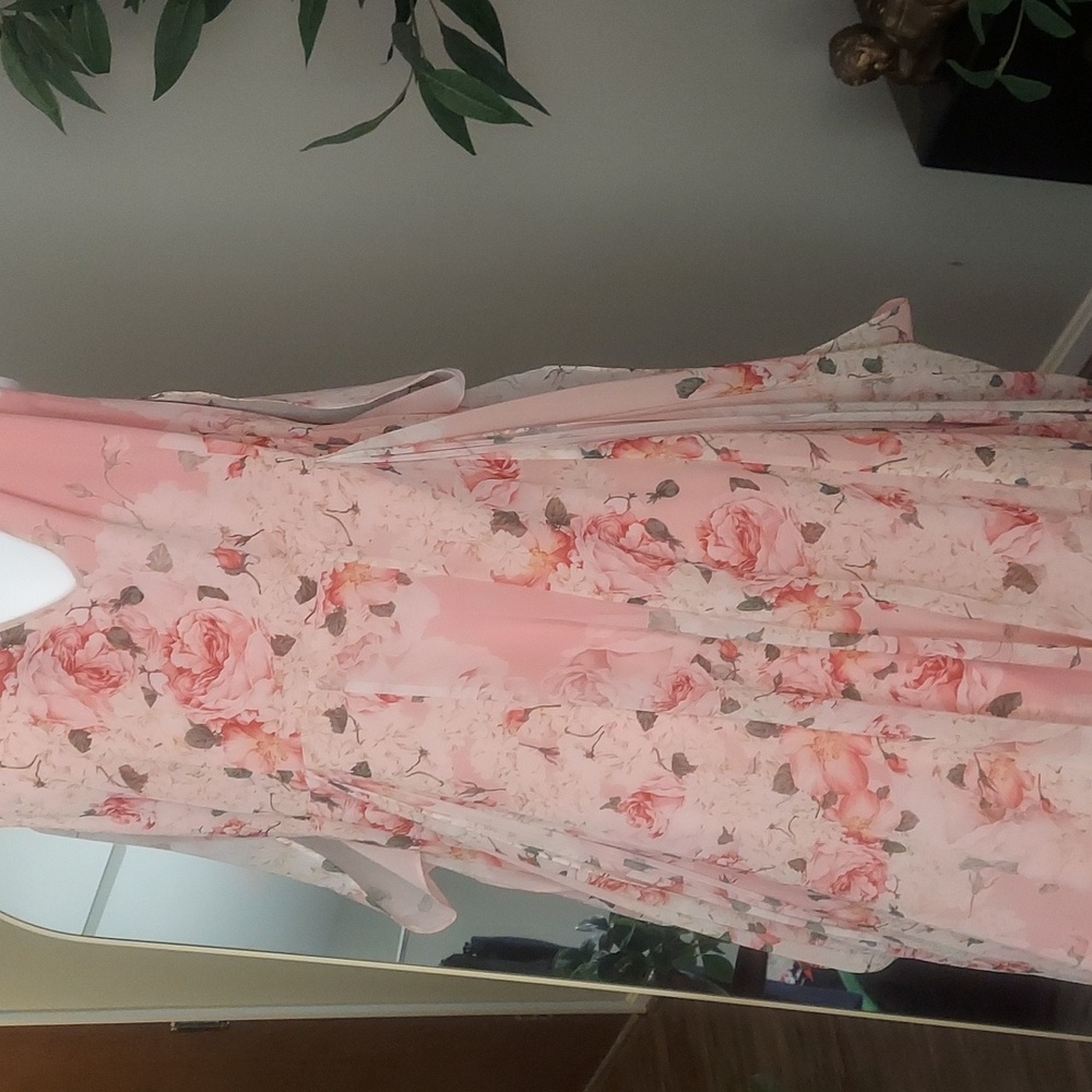 Anthropology Dress - Picture 4 of 4